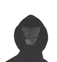 a person wearing a black hoodie with a skull on the face