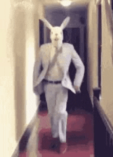 a man in a suit and tie is walking down a hallway with a rabbit mask on his face .