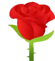 a red rose with green leaves and thorns on a white background