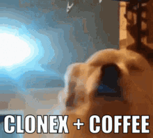 a picture of a dog with the words clonex + coffee written on it