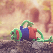 a stuffed frog wearing a blue shirt and red shorts