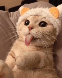 a cat wearing a hat with ears sticking out its tongue