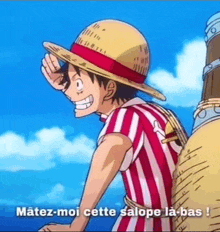 monkey d luffy is wearing a straw hat and a striped shirt .