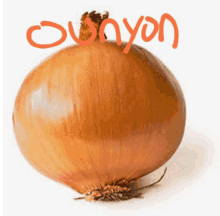 an onion with the word canyon written in red on it