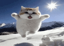 a cat is jumping in the air on top of a snow covered hill .