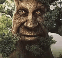 a tree with a beard and leaves on it 's face is looking at the camera .