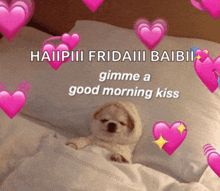 a puppy is laying in bed with hearts around it and a message that says " gimme a good morning kiss " on it