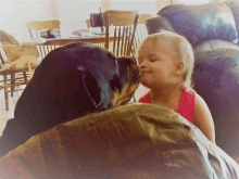 a little girl is being kissed by a dog