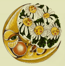 a drawing of a crescent moon surrounded by daisies and leaves