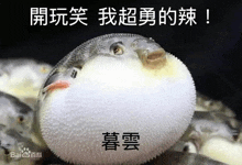 a puffer fish with chinese writing on it is sitting on top of a pile of puffer fish .