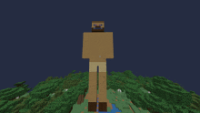 a giant statue of a man with a beard in a minecraft world