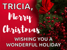 a merry christmas wishing you a wonderful holiday card for tricia