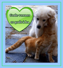 a picture of a dog and a cat with a heart that says gode venner er godt a ha on it