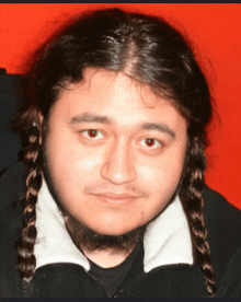 a man with long braided hair and a beard looks at the camera