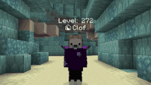 a screenshot of a minecraft game shows a character with the level 272