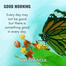 a butterfly is sitting on a flower with a good morning message