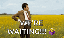 a man in a suit and tie is standing in a field of yellow flowers and says `` we 're waiting ! ''