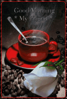 a cup of coffee on a saucer next to a white rose with the words good morning my friend above it