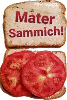 a slice of bread with the words mater sammich on it next to a slice of tomato