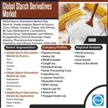 a poster titled global starch derivatives market with a bowl of corn on the cob