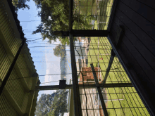 a view of a fenced in area with trees and a house in the background