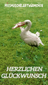 a white bird with a red beak is standing in the grass with the words " herzlichen glückwunsch " below it