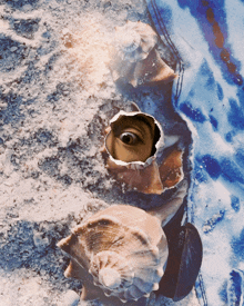 a person 's eye is visible through a hole in the sand