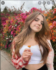 a girl in a plaid shirt is holding a flower in front of a bush of flowers .