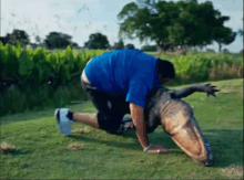 a man in a blue shirt is crawling on the grass with an alligator