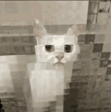 a white cat with a pink nose is looking at the camera in a pixelated image .