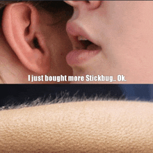 a person whispering into another person 's ear with the words " i just bought more stickbug ok "