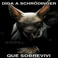 a cat in a suit smoking a cigar with the words " diga a schrödinger que sobrevivi " below it .