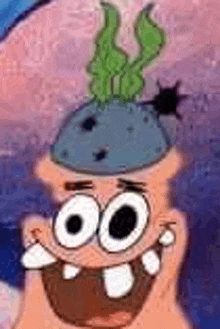 patrick star from spongebob squarepants is wearing a blue hat with seaweed coming out of it .