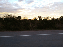 a road with a sunset in the background and palm trees in the foreground