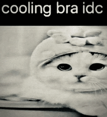 a black and white photo of a cat wearing a hat with the words cooling bra idc above it