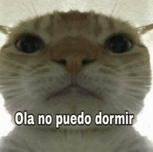 a close up of a cat 's face with the words ola no puedo dormir written on it