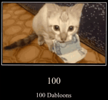 a cat is holding a stack of money in its mouth with the words 100 dabloons above it