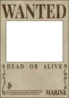 a wanted poster for marine with a white background