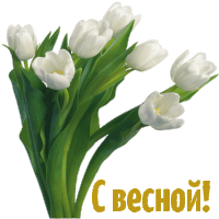 a bunch of white flowers with green leaves and the words " c bechou " on the bottom