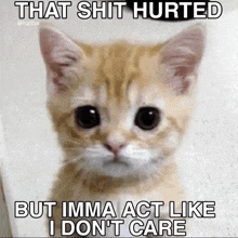 a cat with a meme that says `` that shit hurted but imma act like i don 't care '' .