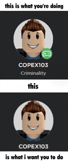 a picture of a roblox character with the name copex103 on it