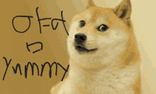 a dog with the word yummy written on the wall behind it