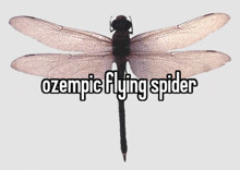 a picture of a dragonfly with the words ozempic flying spider above it