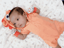 a baby is laying on a blanket with a stuffed animal on its head