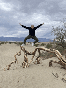 a man jumps in the air while standing on a tree branch