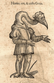 a drawing of a man with a bird head and the words homo ore & collo gruis