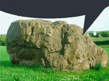 a large rock in a grassy field with a speech bubble behind it