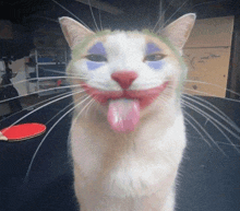 a cat with a joker face painted on its face