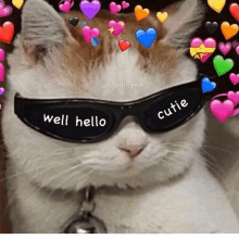 a cat wearing sunglasses with the words well hello cutie on them