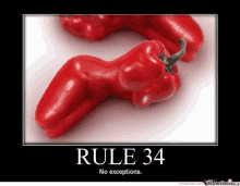 a picture of a red pepper with the words rule 34 on it